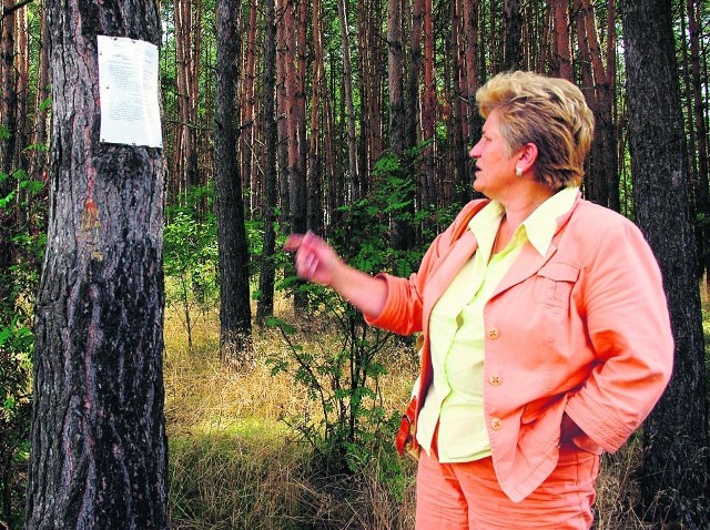 Zerwanie przybitego gwoździami regulaminu zajęło wójt kilka sekund