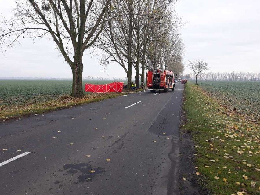 Wypadek na drodze Głuchowo - Piechanin w gminie Czempiń. Nie żyje dwóch młodych mężczyzn, trzeci został przewieziony do szpitala [ZDJĘCIA] 