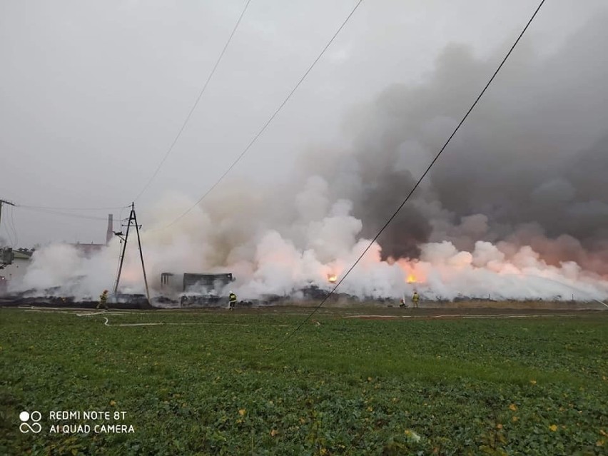 Pożar w Raciniewie - strażacy gasili całą noc, w sobotę rano...