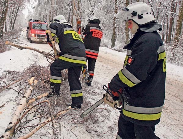 Strażacy usuwają połamane drzewa