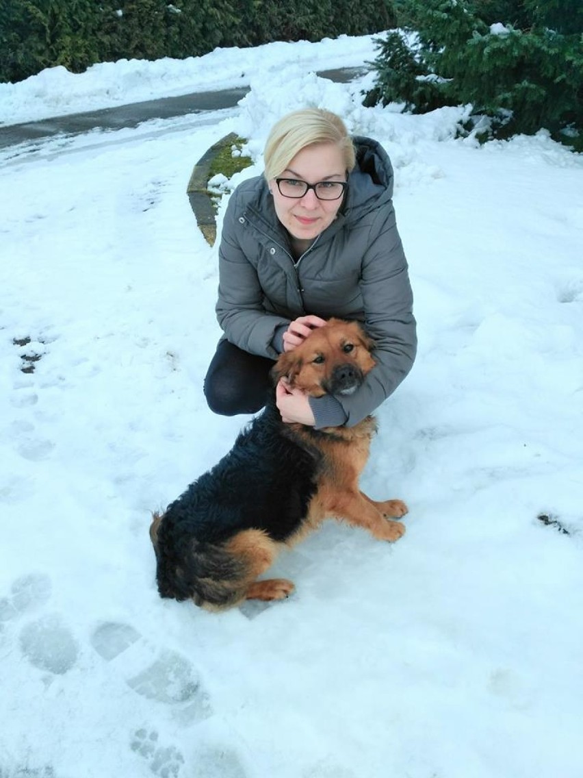 Zimowe spacery z podopiecznymi schroniska dla psów w Złotowie