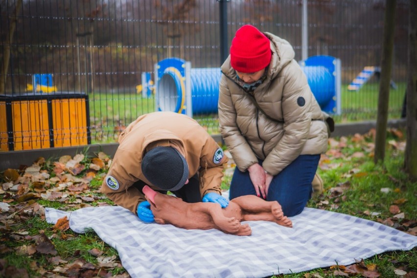 Ostrowski Psi Park. Raj dla czworonogów w Kozim Borku!