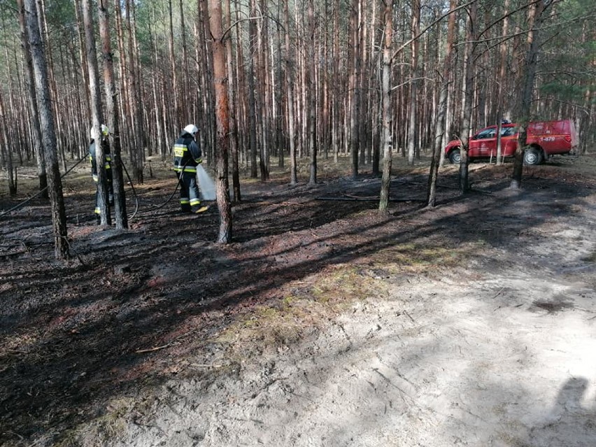 Seria pożarów lasów i nieużytków na terenie gminy Miedzichowo [ZDJĘCIA]