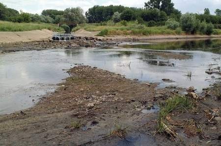 Stan wody na Warcie w Poznaniu sięgnął wczoraj 140 cm.  W innych miejscach w Wielkopolsce jest jeszcze gorzej. Fot. S. Siewior