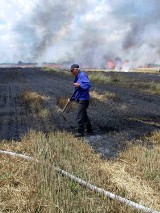 Pożar ścierniska w Łeszczynie [ZDJĘCIA]