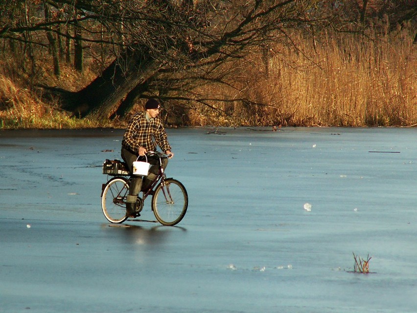 Stara Odra: http://www.panoramio.com/photo/7039535