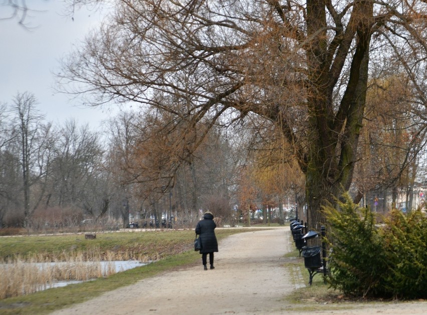 Stary Ogród to najstarszy park w Radomiu. Znajduje się...