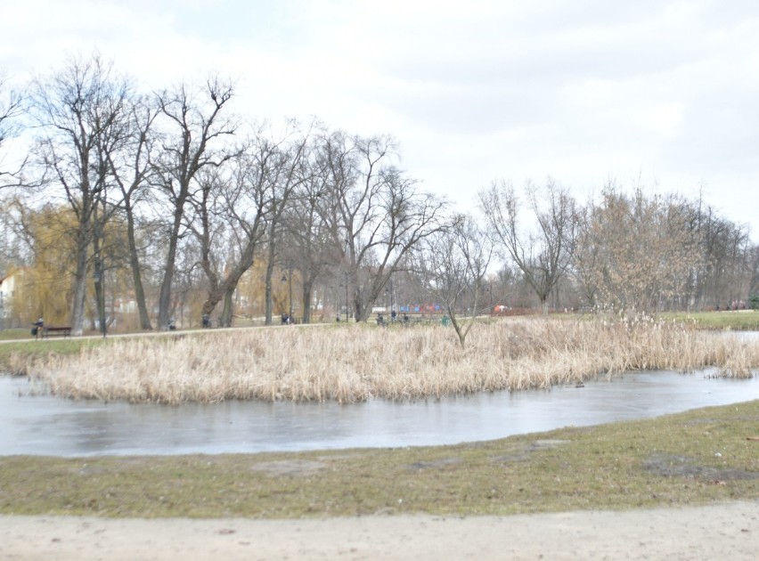 Stary Ogród to najstarszy park w Radomiu. Znajduje się...