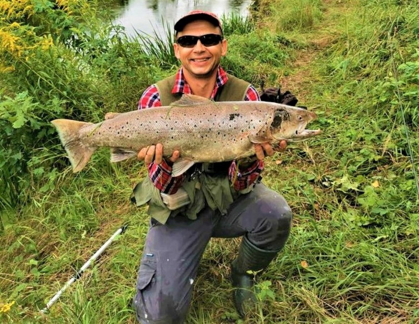 Troć 80 cm 6,1 kg. Na zdjęciu Mirosław Dembowy