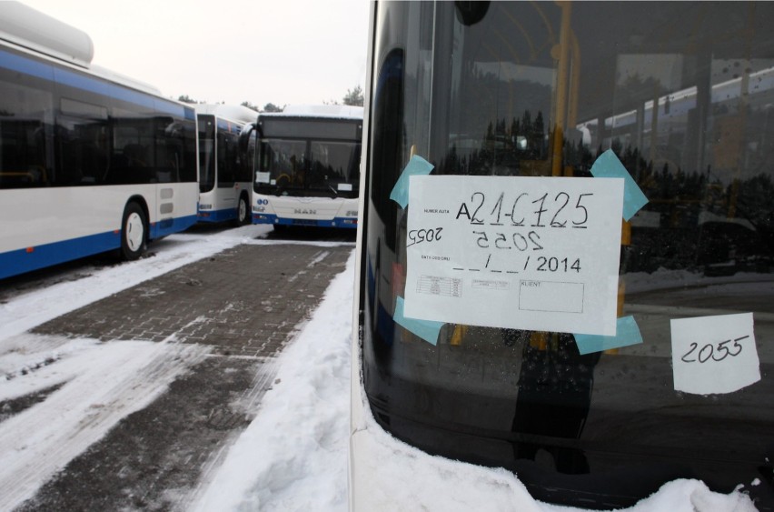 Nowe autobusy MAN w Gdyni