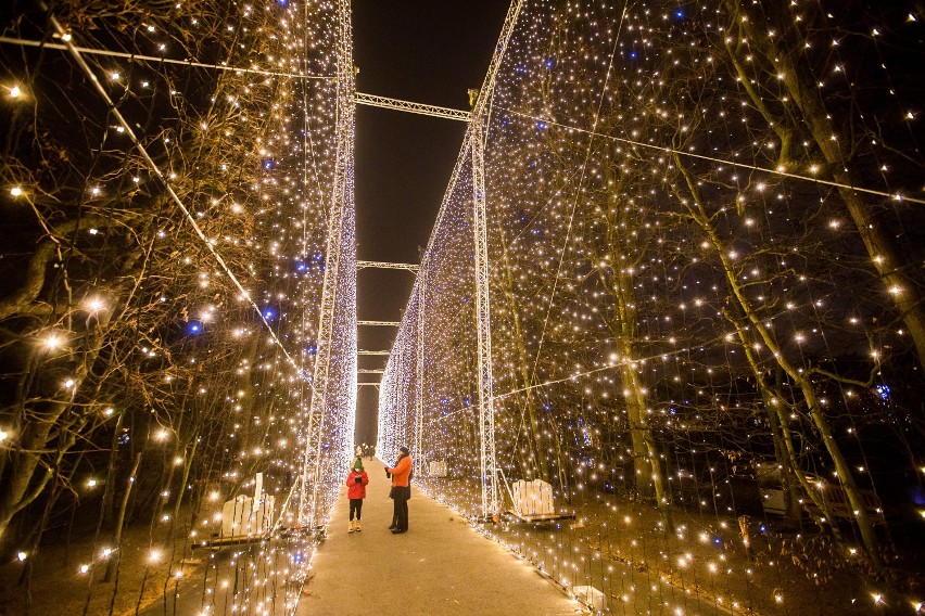 Świąteczne iluminacje w Parku Oliwskim. W wigilię będziemy dłużej podziwiać oświetlony park