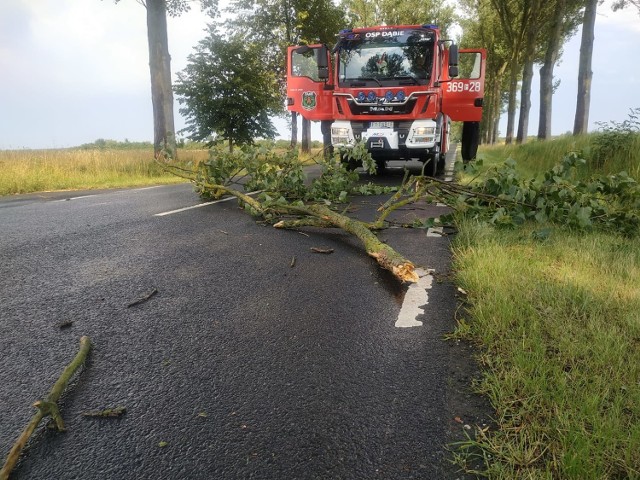 Straż pożarna interweniowała w powiecie krośnieńskim po burzy, która przeszła nad regionem.