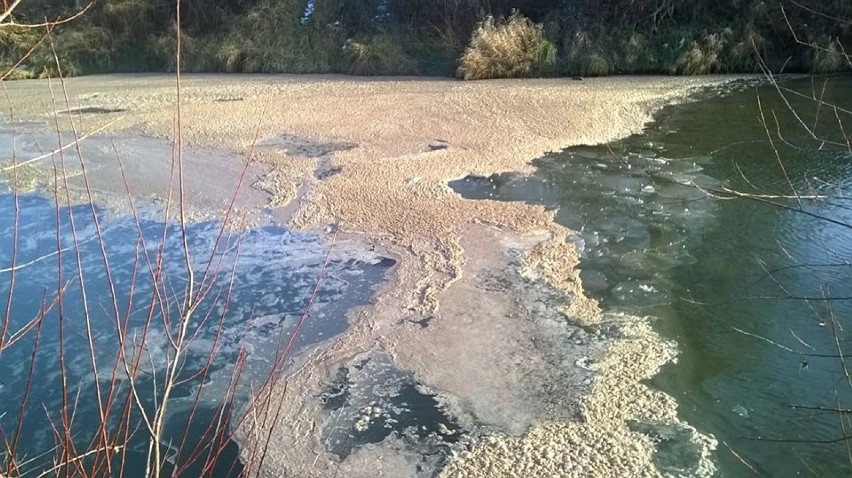 Ścieki z oczyszczalni trafiły do Białej Tarnowskiej. Co się stało?