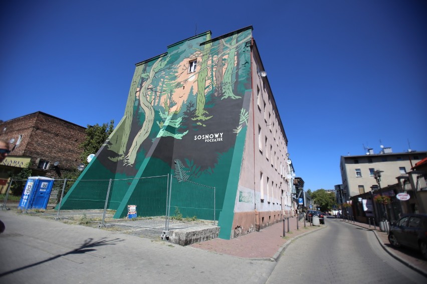 „Sosnowy początek” już gotowy. To nowy mural w Sosnowcu