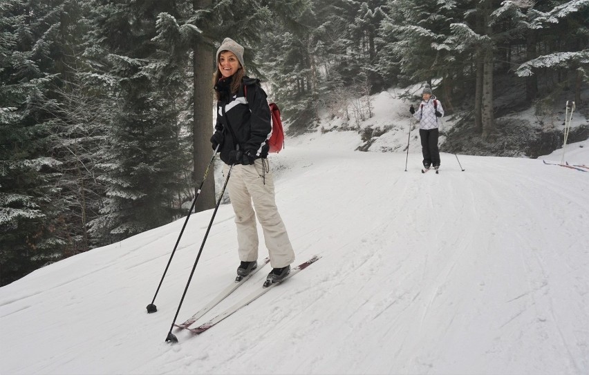 Góra Mogielica kusi trasami do narciarstwa biegowego najwyżej położonymi w Małopolsce [ZDJĘCIA]