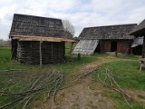 Rezerwat archeologiczny w Kaliszu. W grodzie pojawiła się woliera dla ptaków ZDJĘCIA