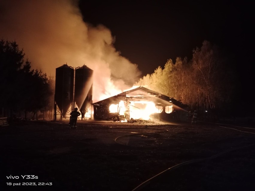 W Drohiczynie spłonęły kurniki. Ponad 40 strażaków brało udział w akcji