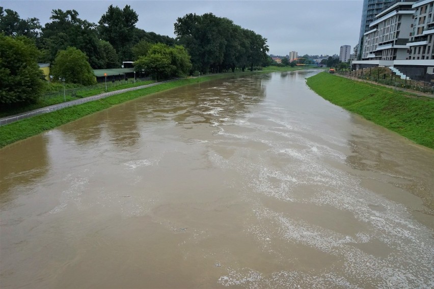 Niebezpiecznie wysoki poziom wody w Wisłoku w Rzeszowie. Czy grozi nam powódź?