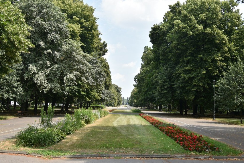 Modernizacja fontanny, nowe ukwiecenia, naprawa schodów i nawierzchni. Park im. Rydza-Śmigłego zyska nowe oblicze