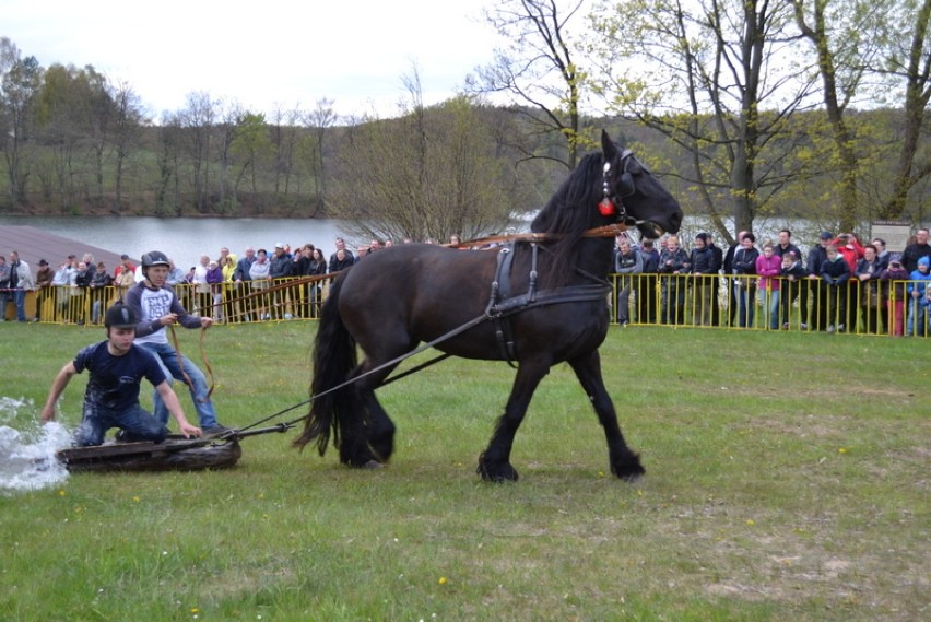 Turniej Woźniców i Hodowców Koni Zimnokrwistych  "Wiśta wio, czyli na kaszubską nutę" Ostrzyce 2016