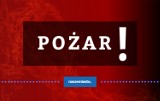 Płonie zakład stolarski w Kozach. Pożar w pow. bielskim. Na miejscu cztery zastępy straży pożarnej i policja