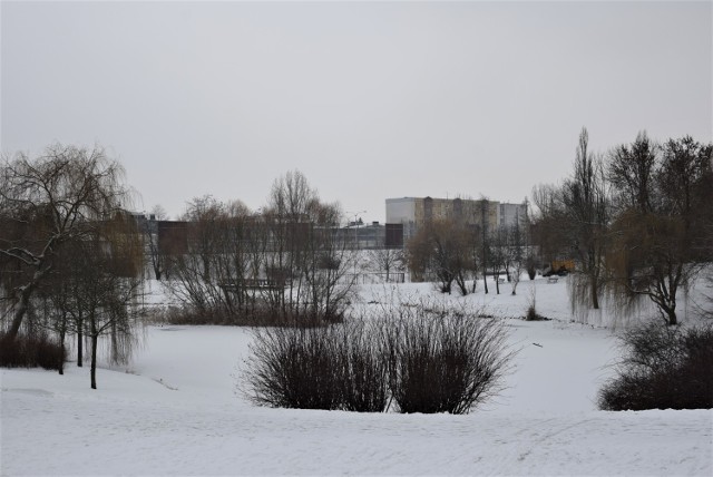 Czy Park Przyjaźni to dobre miejsce na aleję Miast Partnerskich Kalisza?