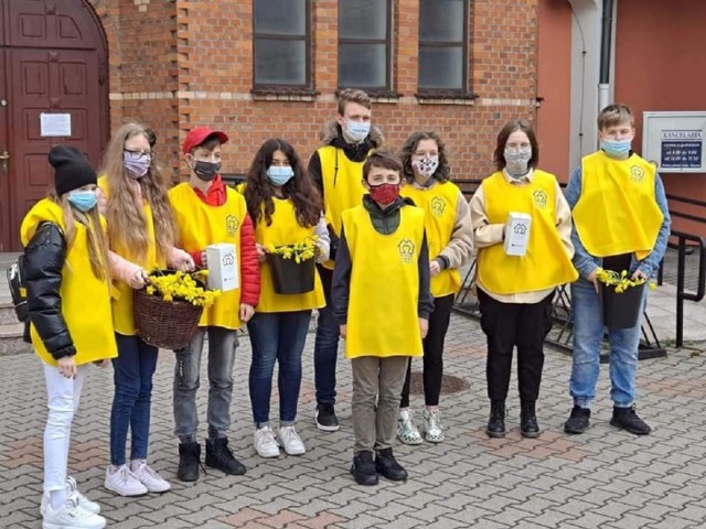Akcja "Żonkil nadziei" prowadzona jest przez młodych wolontariuszy na terenie Konina i powiatu konińskiego