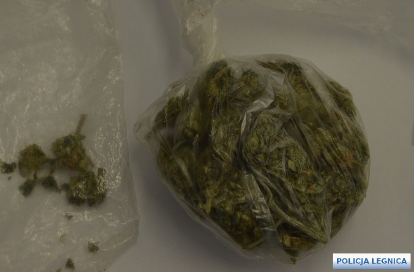 Legnica. W mieszkaniu 48-letniego legniczanina policja odnalazła 170 porcji handlowych metamfetaminy, amfetaminy i marihuany