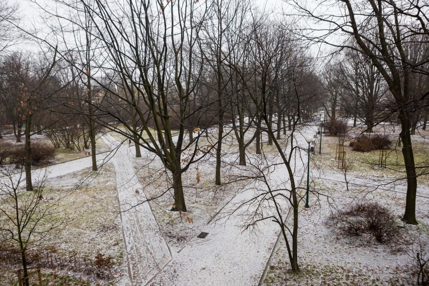 W najbliższych dniach czeka nas ochłodzenie. IMGW ostrzega...