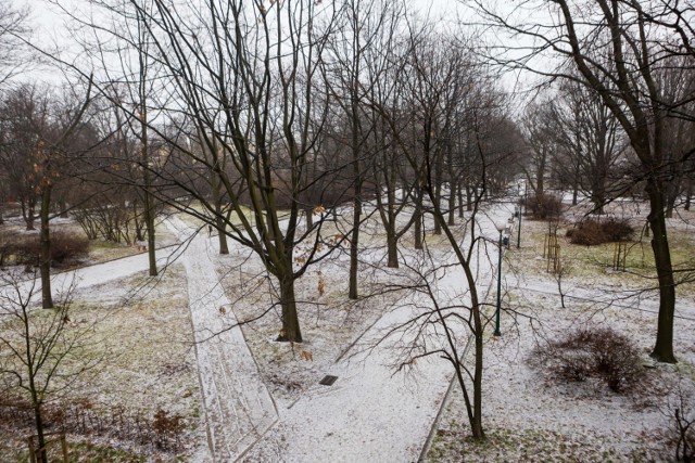 W najbliższych dniach czeka nas ochłodzenie. IMGW ostrzega przed możliwością wystąpienia oblodzenia jezdni i chodników. Alert został wydany m.in. dla województwa mazowieckiego.