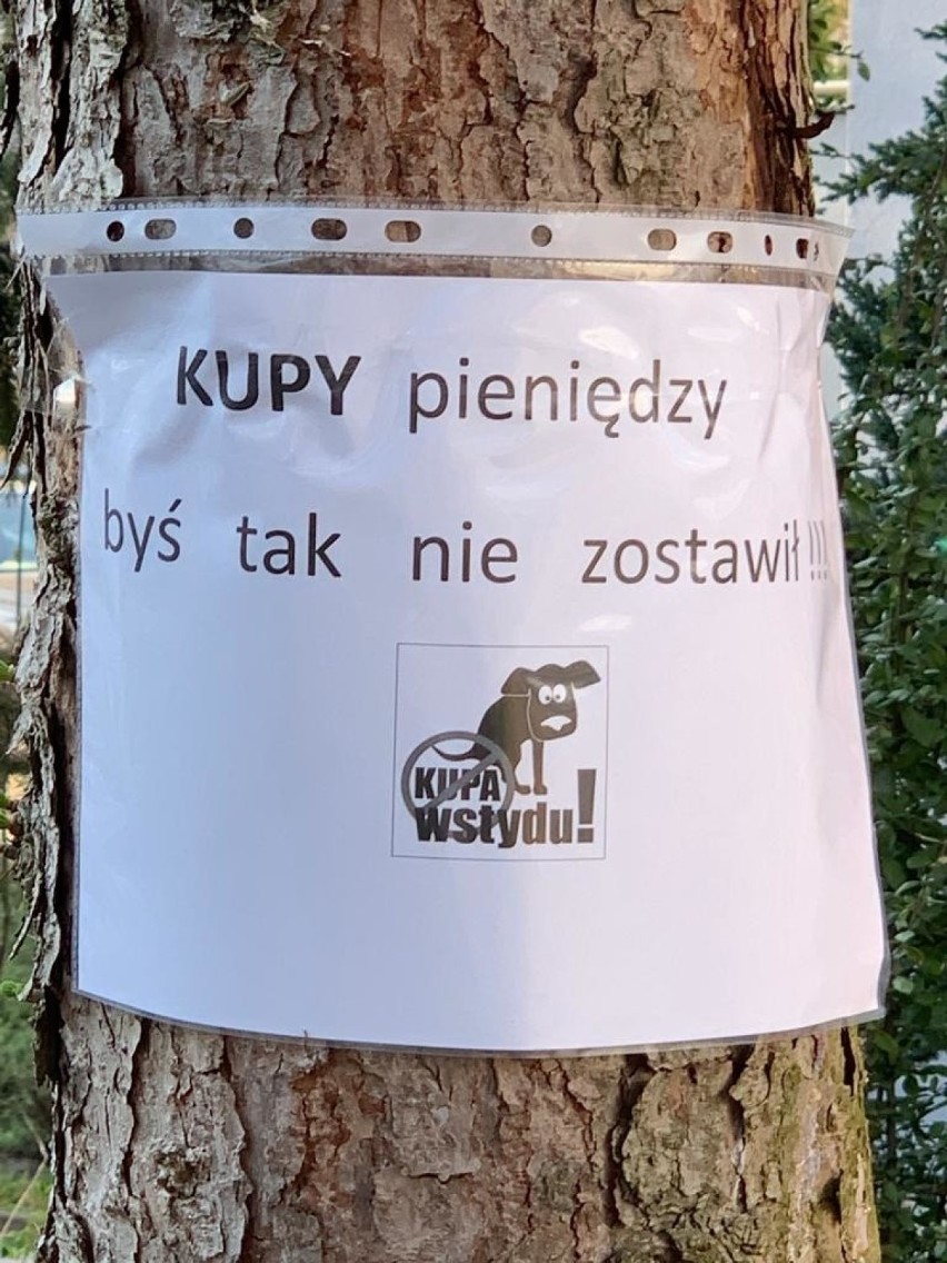 Zielona Góra. Akcja mieszkańców bloków przy ul. Waszczyka i...