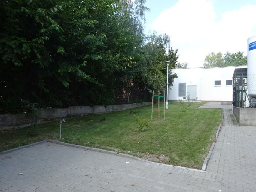 Zagospodarowane tereny zielone przy wolsztyńskim szpitalu