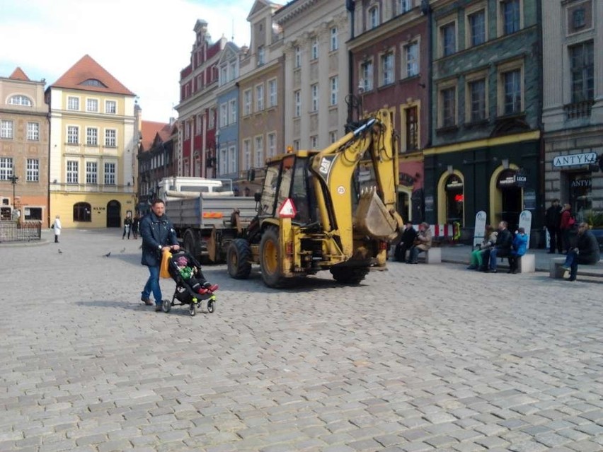 Turyści oglądali poznańskie koziołki wśród ciężarówek i...
