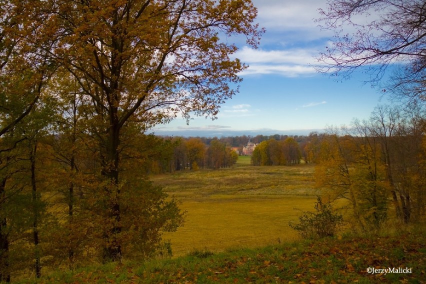 Jesień w Parku Mużakowskim