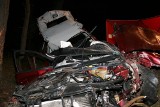 Wypadek w Łodziskach. Kierowca zginął po zderzeniu z łosiem