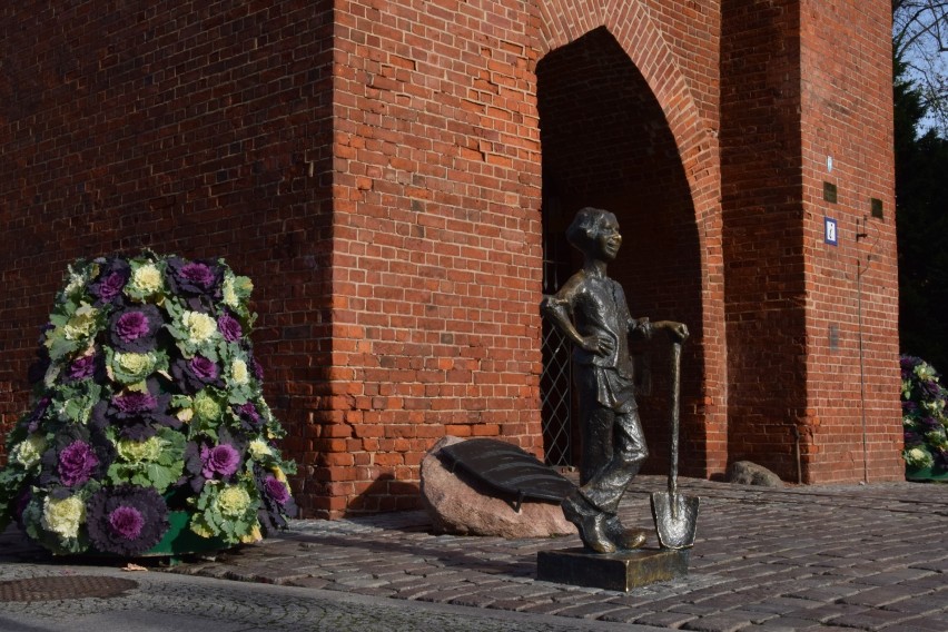 Elbląg w jesiennych barwach, czyli jesienny spacer po mieście. Gdzie na spacer w Elblągu? [zdjęcia]