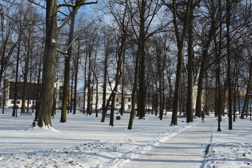 Prawdziwa zima w Janowie Lubelskim. Miasto całe w śniegu. Zobacz zdjęcia
