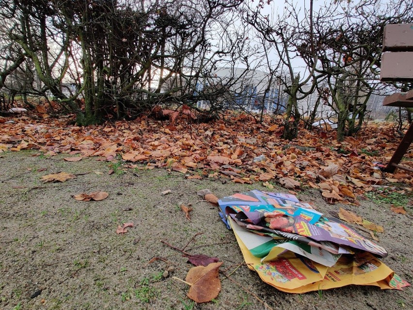 Antywizytówki Gdyni. Te zakątki nie przynoszą miastu chluby! Zaniedbany Park Rady Europy, zaśmiecone zakamarki. Zobaczcie galerię!