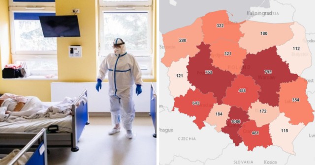 6 431 nowych przypadków koronawirusa w Polsce, 1 086 w woj. śląskim odnotowano w czwartek, 6 maja 2021 roku W całym kraju na CoViD-19 zmarło aż 510 osób, w woj. śląskim - 86. Woj. śląskie jest na pierwszym miejscu w Polsce zarówno pod względem nowych zakażeń jak i ilości zgonów.

Dziś, w czwartek 6 maja w Śląskiem mamy największą ilość nowych zakażeń od 29 kwietnia! Sporo jest wciąż zgonów!

Śląskiem wciąż na pierwszym miejscu

To w woj. śląskim wciąż jest największa liczba nowych zakażeń - 1 086, na miejscu drugim jest woj. mazowieckie - 7935, a dalej woj. wielkopolskie- 753.

Liczba osób na kwarantannie w woj. śląskim to 18 049. Liczba wykonanych testów - 7 836, w tym z wynikiem pozytywnym - 1 209.

Gdzie w w woj. śląskim nowych zakażeń jest wciąż dużo, a gdzie liczba ta już znacznie spadła? Sprawdź. Kliknij w kolejne zdjęcie >>>

