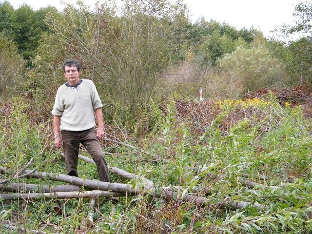 Z działki państwa Bobowskich zniknęło ponad sto drzew