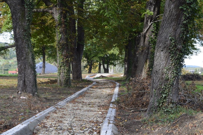 Świebodzice. Odnawiają kolejny park w mieście. Stare drzewa, piękne widoki i wygodne alejki (ZDJĘCIA)