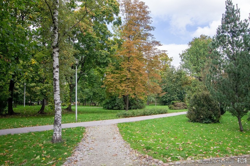 Park Miejski w Pleszewie ma szansę zmienić swoje oblicze i...