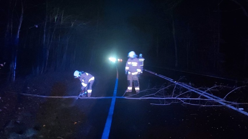 POWIAT RAWICKI. Wichura uszkadzała linie energetyczne, łamała drzewa i niszczyła mienie [ZDJĘCIA] 