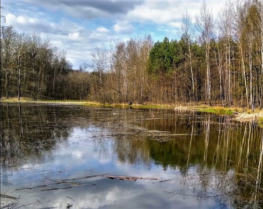 Katowice zyskają nowe parki krajobrazowe, a pozostałe zostaną zmodernizowane. Wybrano już wykonawców prac 