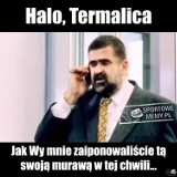 Termalica Bruk-Bet Nieciecza - Legia Warszawa. Internet rozlicza legionistów za ligową wpadkę [MEMY]