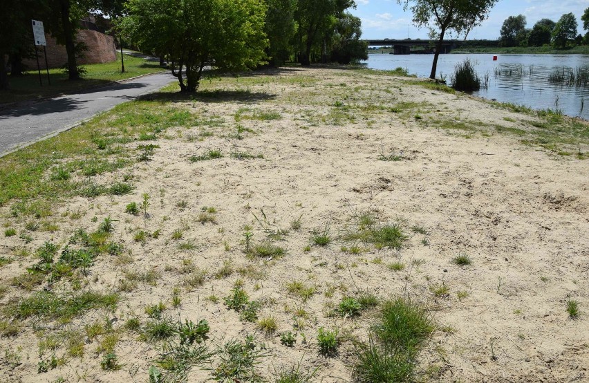 Malbork. Nadnogacka plaża zamienia się w trawnik. Jej stworzenie kosztowało majątek