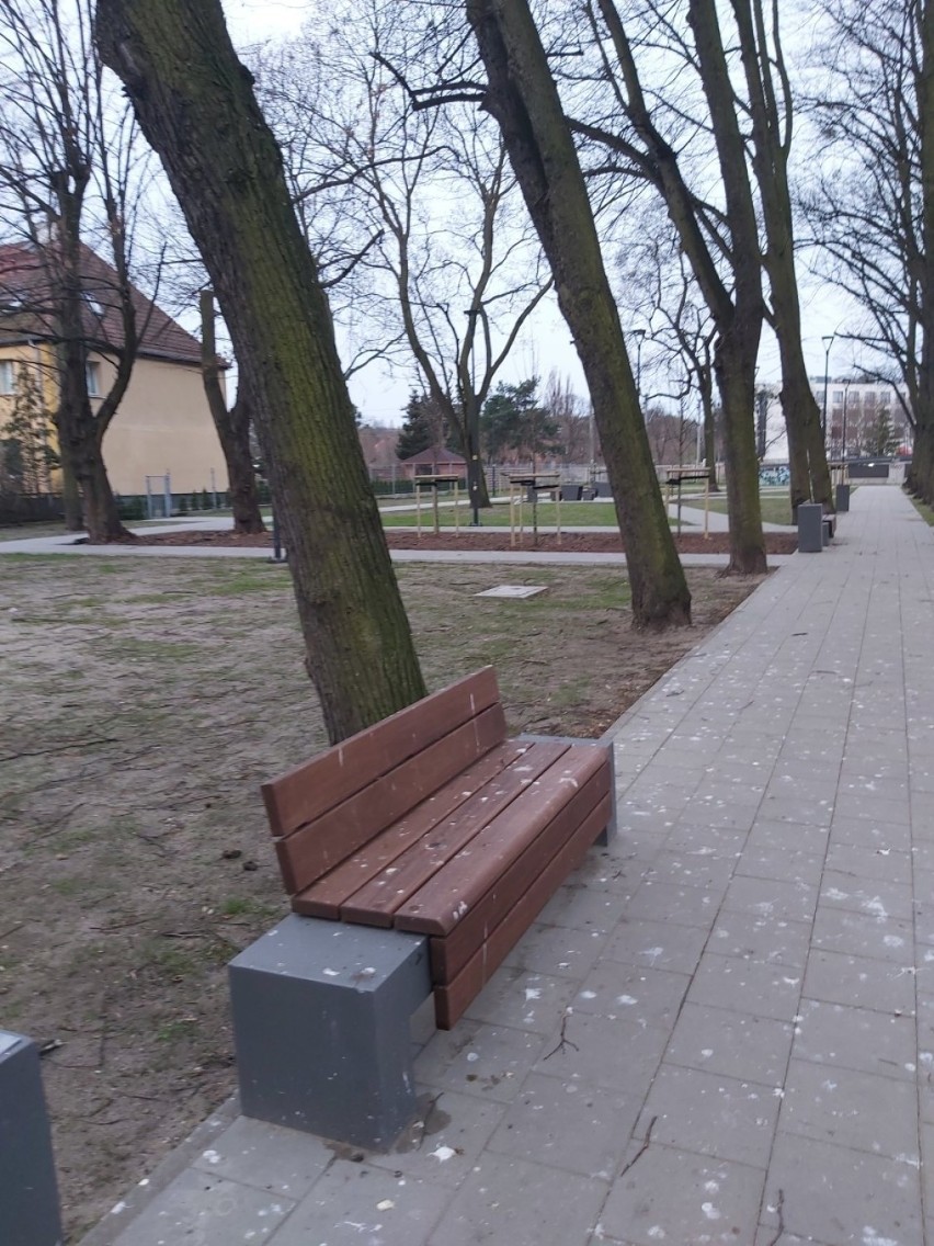 Czytelniczka: zieleniec przy ul. Związkowej na gdańskich Lipcach jest zaniedbany. GZDiZ odpowiada