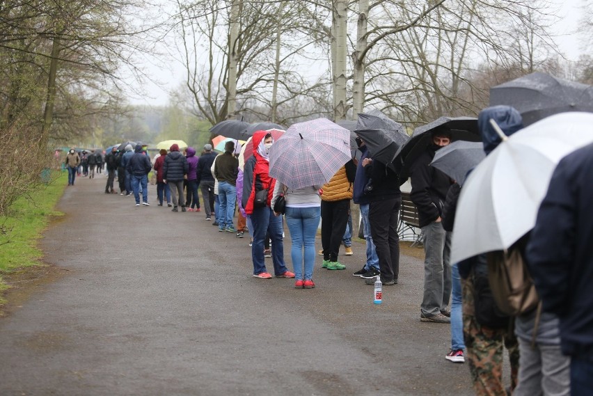 Tysiące ludzi ustawiło się w kolejce do punktu szczepień...