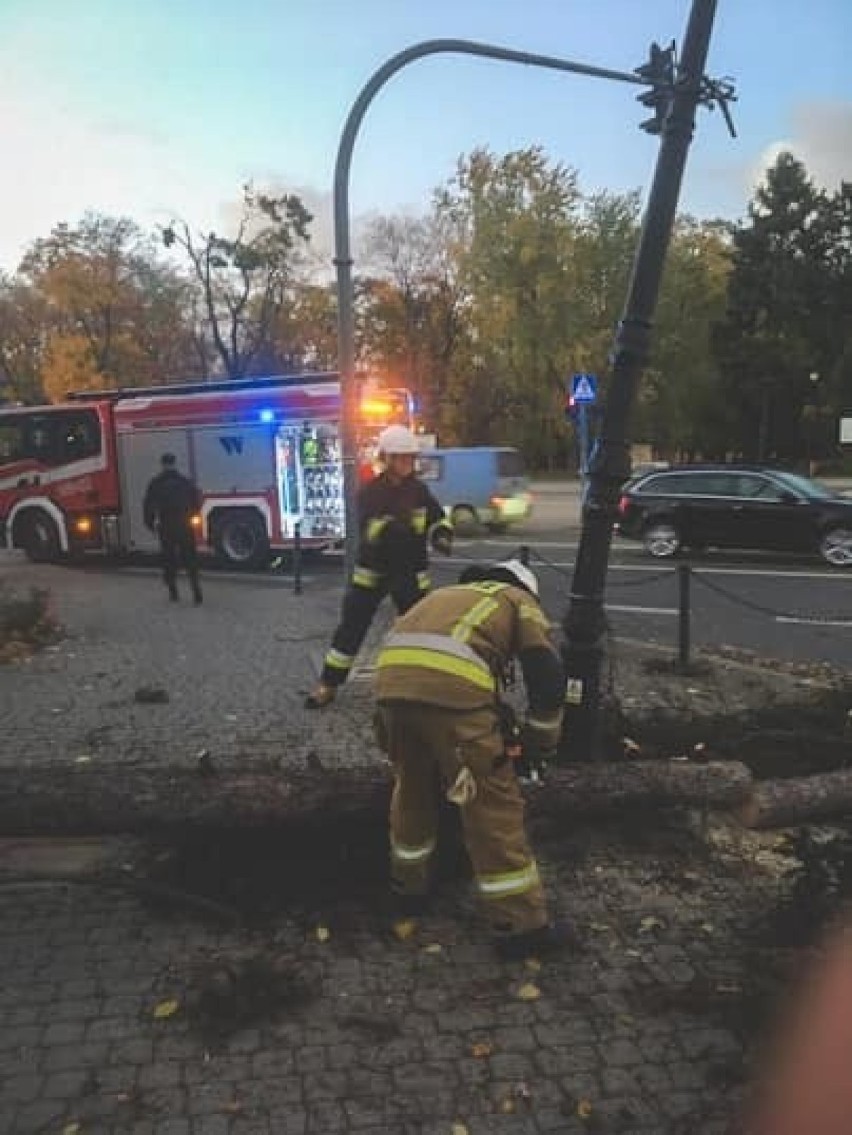 Wichura w Łódzkiem. Strażacy interweniowali ponad 550 razy w całym województwie