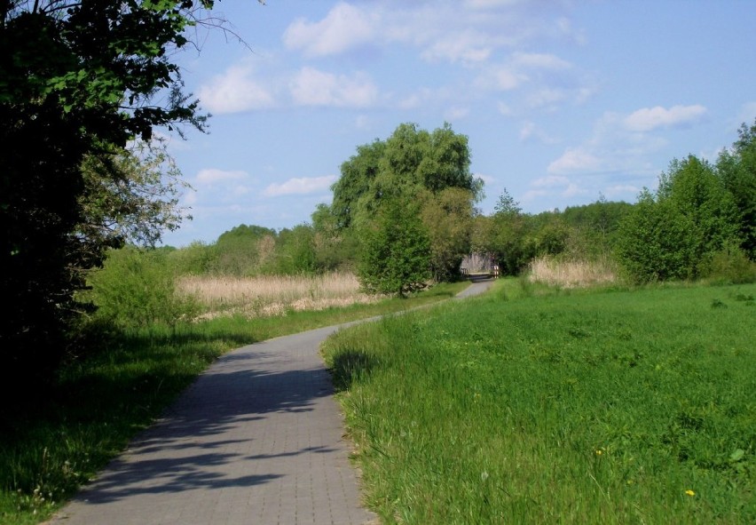 Ścieżka rowerowa Zbąszyń - Nowa Wieś Zbąska - Zbąszyń 17 maja 2020